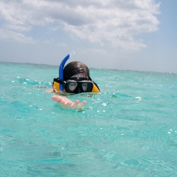 Meet your Posher, Anne - Picture 1 of 1